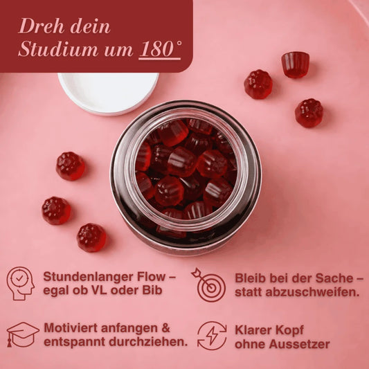 Löwenmähne Fokus Gummies